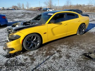 2017 Dodge Charger R/T with VIN 2C3CDXCT7HH623143, listed as a Copart auction lot 50664215 with Not Provided miles and Non Repairable. Bid and sale history available at DreamBid. Image 1.