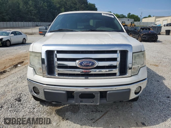 2010 Ford F-150 XL with VIN 1FTEX1E89AFB10260, listed as a Copart auction lot 57491885 with 185,044 mi miles and Salvage title. Bid and sale history available at DreamBid. Image 5.