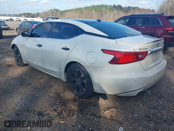 2016 Nissan Maxima SV with VIN 1N4AA6AP4GC386338, listed as a IAAI auction lot 41511559 with 176,957 mi miles and . Bid and sale history available at carsss.com. Image 3.
