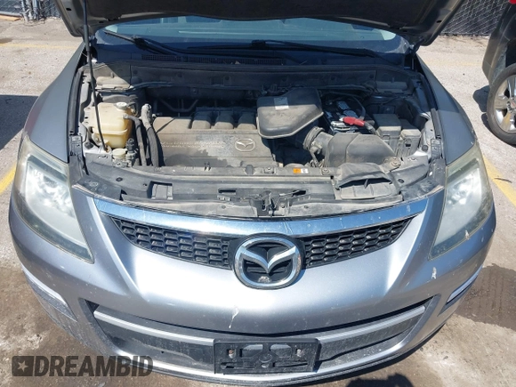 2009 Mazda CX-9 Touring with VIN JM3TB38V690171395, listed as a IAAI auction lot 41976011 with 184,050 mi miles. Bid and sale history available at carsss.com. Image 10.