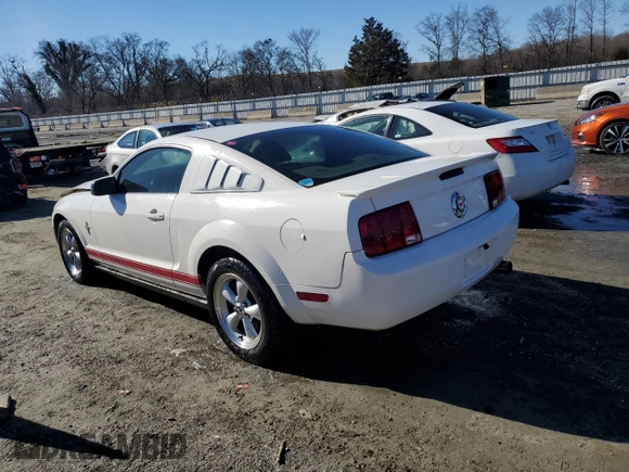 2007 Ford Mustang Deluxe with VIN 1ZVFT80N875311830, listed as a Copart auction lot 87480934 with 204,184 mi miles and Salvage Title. Bid and sale history available at carsss.com. Image 2.