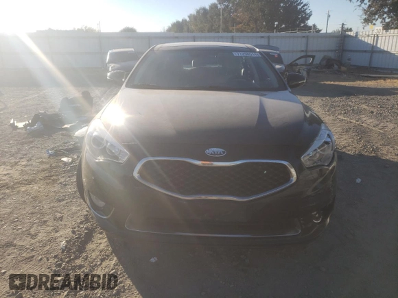 2014 Kia Cadenza Premium with VIN KNALN4D73E5163830, listed as a Copart auction lot 77258514 with 0 mi miles and Salvage Title. Bid and sale history available at carsss.com. Image 5.
