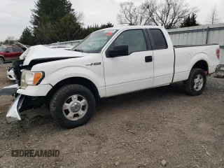 2009 Ford F-150 STX with VIN 1FTRX14889FA73202, listed as a Copart auction lot 50856285 with 184,181 mi miles and Salvage Title. Bid and sale history available at carsss.com. Image 1.