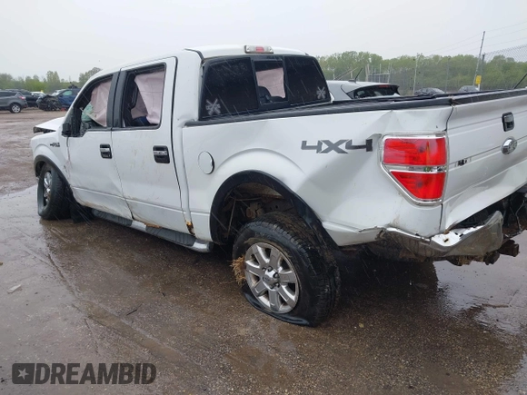 2013 Ford F-150 XL with VIN 1FTFW1EF0DKE51211, listed as a IAAI auction lot 42302562 with Not provided miles and . Bid and sale history available at DreamBid. Image 3.