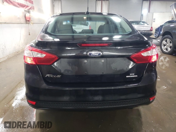 2014 Ford Focus SE with VIN 1FADP3F23EL298613, listed as a Copart auction lot 48691595 with 133,988 mi miles and Salvage Title. Bid and sale history available at carsss.com. Image 6.