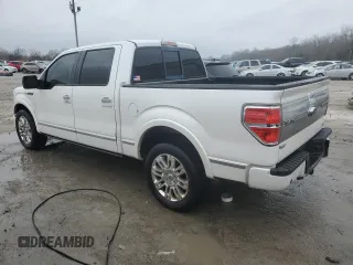 2010 Ford F-150 XL with VIN 1FTFW1CV4AFB08187, listed as a Copart auction lot 44710245 with 179,180 mi miles and Salvage Title. Bid and sale history available at DreamBid. Image 2.