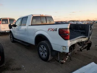 2014 Ford F-150 XL with VIN 1FTFW1ET4EFA01609, listed as a Copart auction lot 81381674 with 186,089 mi miles and Salvage Title. Bid and sale history available at carsss.com. Image 2.