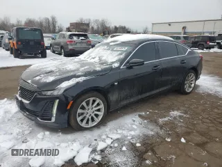 2020 Cadillac CT5 Luxury with VIN 1G6DS5RK4L0140735, listed as a Copart auction lot 44192675 with 115,945 mi miles and Salvage Title. Bid and sale history available at carsss.com. Image 1.