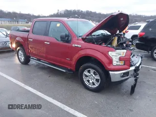 2016 Ford F-150 XLT with VIN 1FTEW1EP7GKD30796, listed as a IAAI auction lot 41213566 with Not provided miles and . Bid and sale history available at DreamBid. Image 1.
