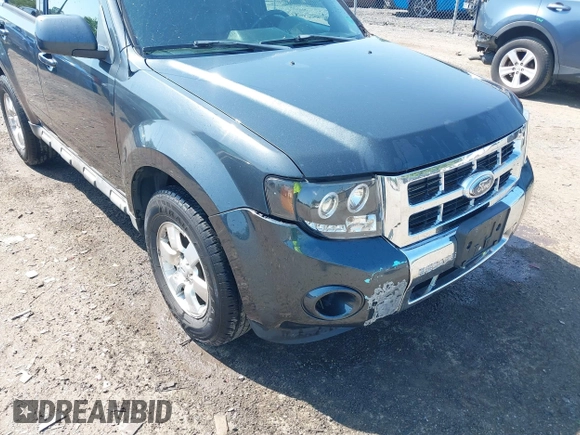 2009 Ford Escape Limited with VIN 1FMCU04739KB48262, listed as a IAAI auction lot 42564760 with 175,058 mi miles and . Bid and sale history available at DreamBid. Image 17.