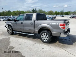 2013 Ford F-150 XL with VIN 1FTFW1EF3DFD32612, listed as a Copart auction lot 53959375 with 226,716 mi miles and Non repairable. Bid and sale history available at DreamBid. Image 2.