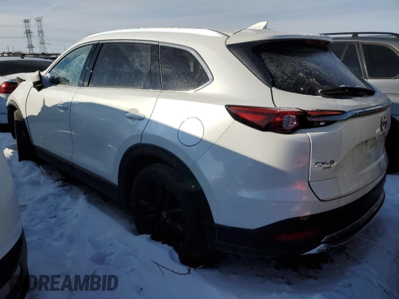 2022 Mazda CX-9 Touring Plus with VIN JM3TCBAY1N0616616, listed as a Copart auction lot 45477775 with 28,436 mi miles and Salvage Title. Bid and sale history available at carsss.com. Image 2.