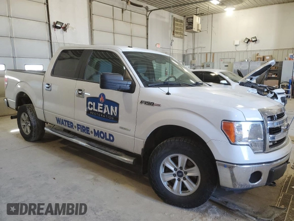 2013 Ford F-150 XL with VIN 1FTFW1ET6DFD16958, listed as a Copart auction lot 46239485 with 163,442 mi miles and Salvage Title. Bid and sale history available at carsss.com. Image 4.