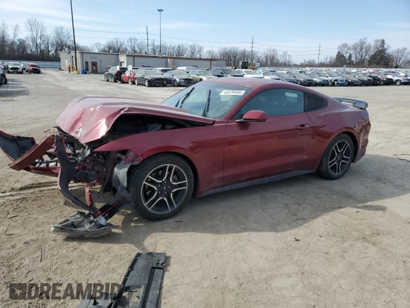 2017 Ford Mustang V6 with VIN 1FA6P8AM9H5320606, listed as a Copart auction lot 49329445 with Not Provided miles and Clean Title. Bid and sale history available at carsss.com. Image 1.