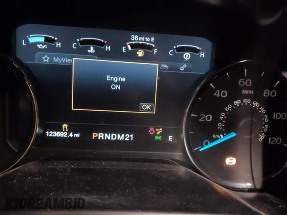 2016 Ford F-150 XLT with VIN 1FTEW1EF3GFC70144, listed as a IAAI auction lot 41448079 with 123,692 mi miles. Bid and sale history available at carsss.com. Image 7.