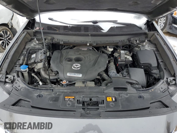 2016 Mazda CX-9 Touring with VIN JM3TCACY2G0116961, listed as a Copart auction lot 38943763 with 123,927 mi miles and . Bid and sale history available at DreamBid. Image 12.