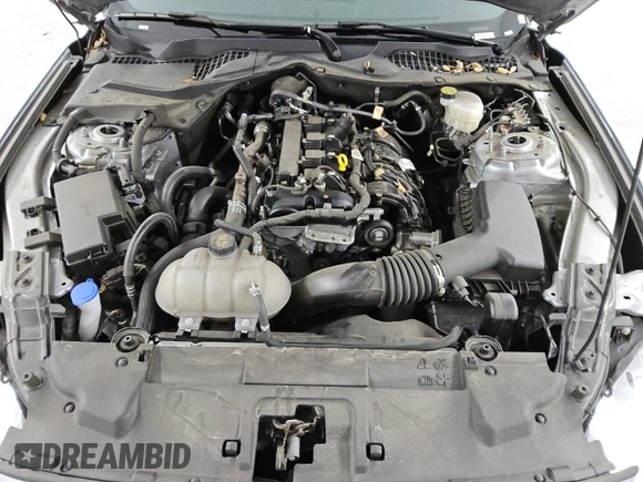 2023 Ford Mustang EcoBoost with VIN 1FA6P8THXP5108991, listed as a Copart auction lot 49011765 with 40,691 mi miles and Clean Title. Bid and sale history available at carsss.com. Image 11.