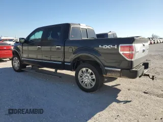 2011 Ford F-150 XLT with VIN 1FTFW1ET5BFA91591, listed as a Copart auction lot 49219635 with 141,516 mi miles and Clean Title. Bid and sale history available at carsss.com. Image 2.