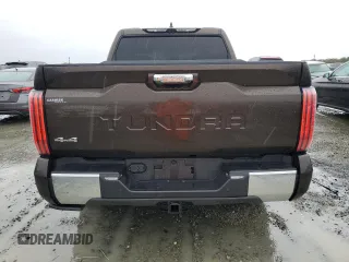 2022 Toyota Tundra 1794 Edition with VIN 5TFMA5DB5NX048356, listed as a Copart auction lot 81753004 with 17,077 mi miles and Salvage title. Bid and sale history available at DreamBid. Image 6.