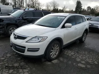 2009 Mazda CX-9 Touring with VIN JM3TB38V190170896, listed as a Copart auction lot 46803355 with 192,920 mi miles and Salvage Title. Bid and sale history available at carsss.com. Image 1.