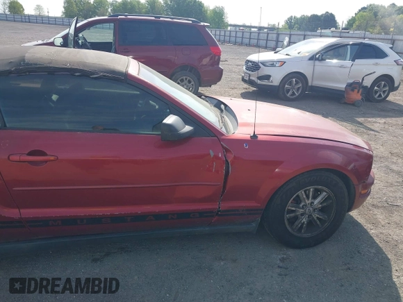 2006 Ford Mustang Standard with VIN 1ZVFT84N365190097, listed as a IAAI auction lot 42015242 with Not Provided miles and . Bid and sale history available at carsss.com. Image 16.