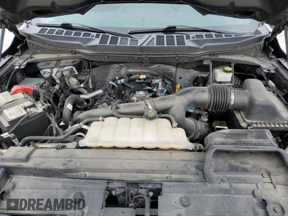 2021 Ford F-150 XL with VIN 1FTEW1CP1MFA48094, listed as a Copart auction lot 47822195 with 56,506 mi miles and Salvage Title. Bid and sale history available at carsss.com. Image 11.