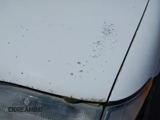 1991 Geo Prizm z VIN 1Y1SK5469MZ070415, wystawiony jako IAAI lot #42197069 z przebiegiem 314 711 mil mil oraz . Historia ofert i sprzedaży dostępna na DreamBid. Obrazek 6.