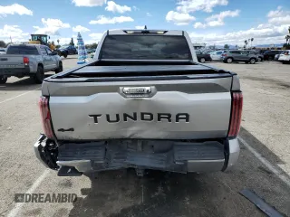 2023 Toyota Tundra Limited with VIN 5TFJA5DB4PX120864, listed as a Copart auction lot 48952505 with 19,169 mi miles and Salvage title. Bid and sale history available at DreamBid. Image 6.