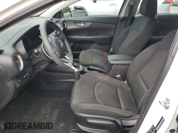 2019 Kia Forte LXS with VIN 3KPF24AD8KE006295, listed as a Copart auction lot 58470675 with 100,879 mi miles and Salvage title. Bid and sale history available at DreamBid. Image 7.