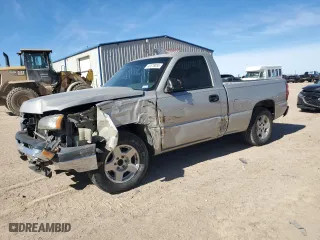 2006 Chevrolet Silverado 1500 LS with VIN 1GCEC14V36Z302296, listed as a Copart auction lot 43578885 with 206,902 mi miles and Salvage Title. Bid and sale history available at carsss.com. Image 1.