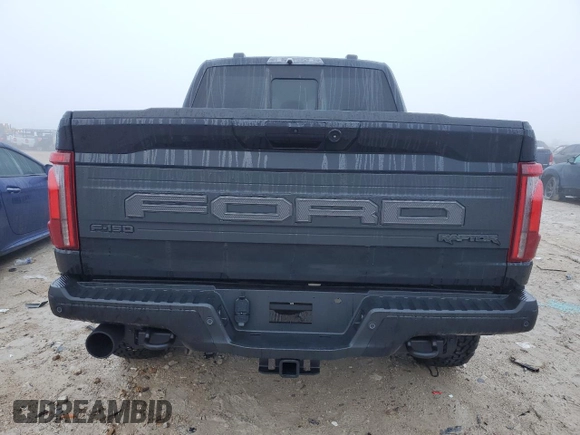 2024 Ford F-150 Raptor with VIN 1FTFW1RG2RFB14249, listed as a Copart auction lot 48995785 with 822 mi miles and Salvage Title. Bid and sale history available at DreamBid. Image 6.