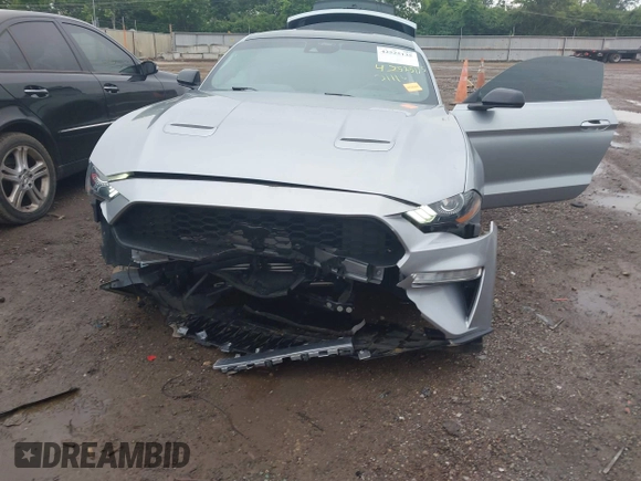 2023 Ford Mustang EcoBoost with VIN 1FA6P8TH9P5105743, listed as a IAAI auction lot 42525135 with 31,116 mi miles and . Bid and sale history available at DreamBid. Image 6.