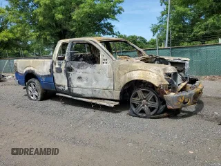 2010 Ford F-150 XL with VIN 1FTEX1EW8AFC27147, listed as a Copart auction lot 63457625 with Not provided miles and Salvage title. Bid and sale history available at DreamBid. Image 4.