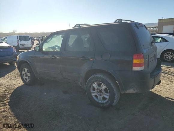 2006 Ford Escape Limited with VIN 1FMYU04196KA34229, listed as a Copart auction lot 46709785 with 203,203 mi miles and Clean Title. Bid and sale history available at carsss.com. Image 2.