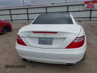 2014 Mercedes-Benz SLK 250 with VIN WDDPK4HA7EF081313, listed as a IAAI auction lot 41520329 with 53,031 mi miles and . Bid and sale history available at DreamBid. Image 16.