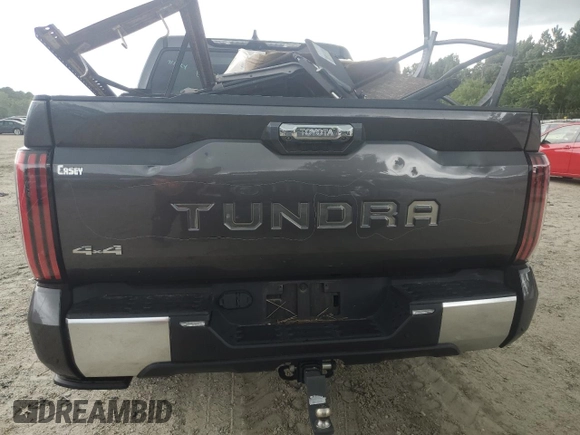 2022 Toyota Tundra Capstone Hybrid with VIN 5TFVC5DB7NX006902, listed as a Copart auction lot 66089944 with 56,131 mi miles and Salvage title. Bid and sale history available at DreamBid. Image 6.
