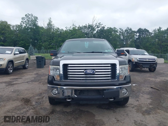 2010 Ford F-150 XL with VIN 1FTFX1EV8AFC46471, listed as a IAAI auction lot 42749255 with 169,134 mi miles and . Bid and sale history available at DreamBid. Image 6.