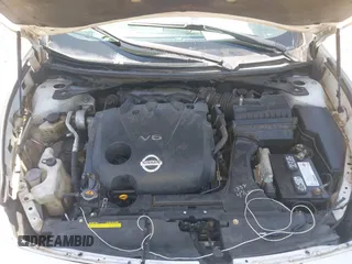 2010 Nissan Maxima SV with VIN 1N4AA5APXAC846488, listed as a IAAI auction lot 42036731 with 205,854 mi miles and . Bid and sale history available at DreamBid. Image 10.
