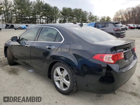 2012 Acura TSX Tech Pkg with VIN JH4CU2F60CC028035, listed as a Copart auction lot 46460665 with 151,163 mi miles and Salvage Title. Bid and sale history available at carsss.com. Image 2.