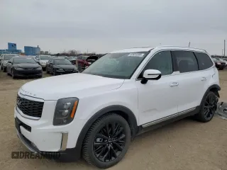 2022 Kia Telluride SX with VIN 5XYP5DHC0NG263225, listed as a Copart auction lot 43820385 with 40,044 mi miles and Salvage Title. Bid and sale history available at carsss.com. Image 1.