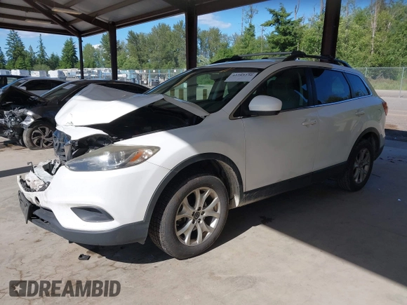 2013 Mazda CX-9 Touring with VIN JM3TB3CV7D0404510, listed as a IAAI auction lot 42385230 with 182,233 mi miles and . Bid and sale history available at DreamBid. Image 2.