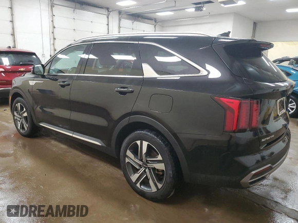 2024 Kia Sorento EX with VIN KNDRHDLGXR5258302, listed as a Copart auction lot 59800195 with 22,250 mi miles and Clean title. Bid and sale history available at DreamBid. Image 2.