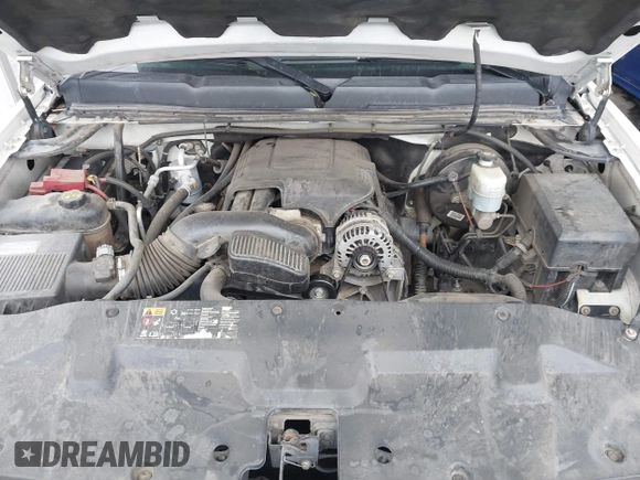 2013 Chevrolet Silverado 1500 LT with VIN 3GCPCSE06DG187949, listed as a IAAI auction lot 41799296 with 169,919 mi miles and . Bid and sale history available at DreamBid. Image 10.