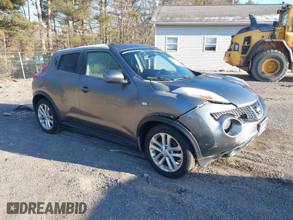 2013 Nissan Juke SL with VIN JN8AF5MV5DT224184, listed as a IAAI auction lot 41702851 with 160,000 mi miles and . Bid and sale history available at carsss.com. Image 1.