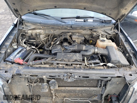 2010 Ford F-150 XL with VIN 1FTFW1EV8AFD18983, listed as a Copart auction lot 47315985 with 212,799 mi miles and Salvage Title. Bid and sale history available at carsss.com. Image 12.