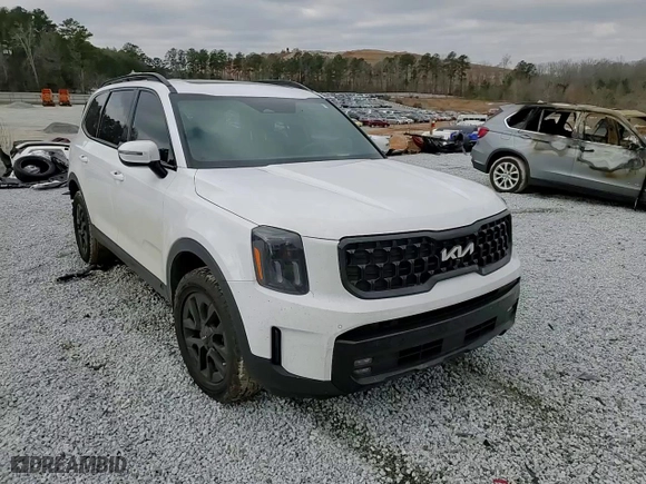 2024 Kia Telluride SX Prestige X-Pro with VIN 5XYP5DGC7RG420949, listed as a Copart auction lot 46138525 with 38,983 mi miles and Salvage Title. Bid and sale history available at carsss.com. Image 11.