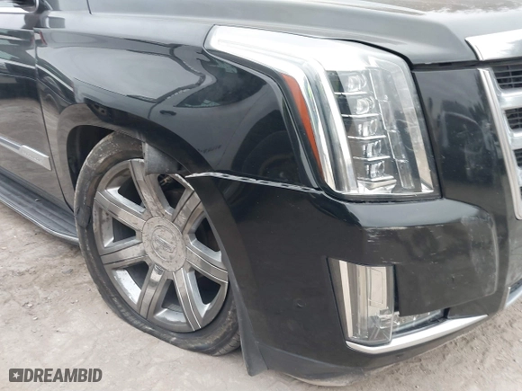 2018 Cadillac Escalade Luxury with VIN 1GYS4BKJ3JR143952, listed as a IAAI auction lot 41333902 with 124,265 mi miles. Bid and sale history available at carsss.com. Image 17.
