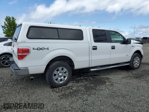 2011 Ford F-150 XLT z VIN 1FTFW1ET7BFA63209, wystawiony jako Copart lot #57361325 z przebiegiem 135 245 mil mil oraz Szkoda całkowita • Salvage title. Historia ofert i sprzedaży dostępna na DreamBid. Obrazek 3.