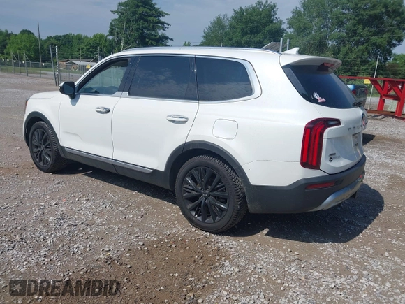 2020 Kia Telluride SX with VIN 5XYP5DHC4LG067625, listed as a IAAI auction lot 42302019 with 134,266 mi miles and . Bid and sale history available at DreamBid. Image 3.