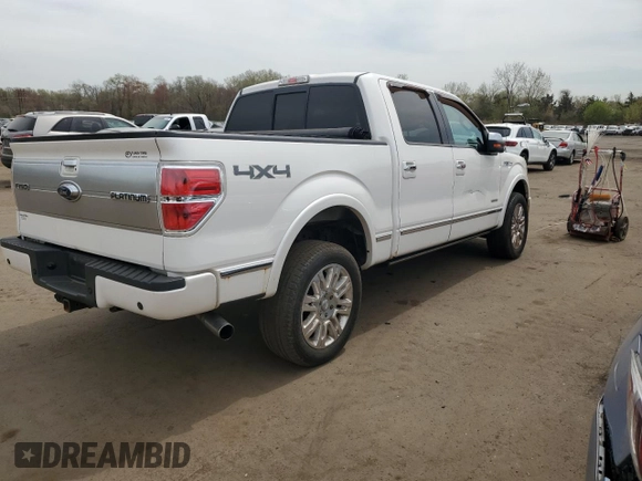 2013 Ford F-150 XL with VIN 1FTFW1ET8DFC52566, listed as a Copart auction lot 54368145 with 143,836 mi miles and Salvage Title. Bid and sale history available at carsss.com. Image 3.